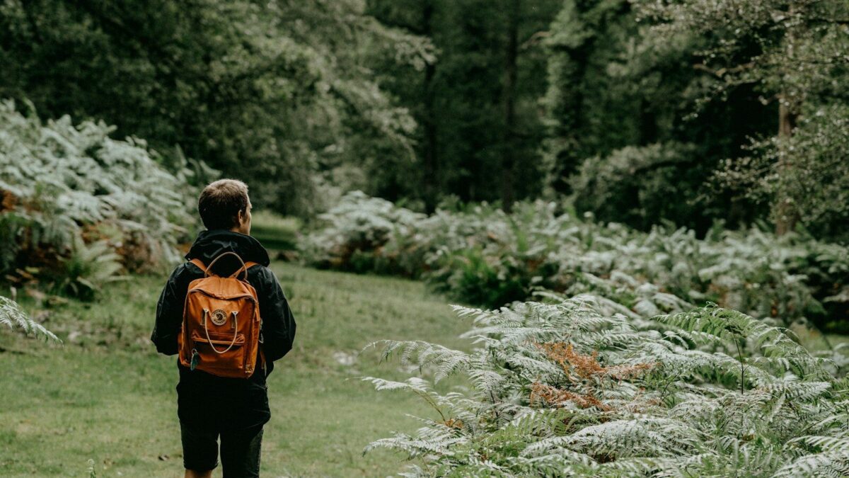 man in black and orange backpack walking on green grass field during daytime
