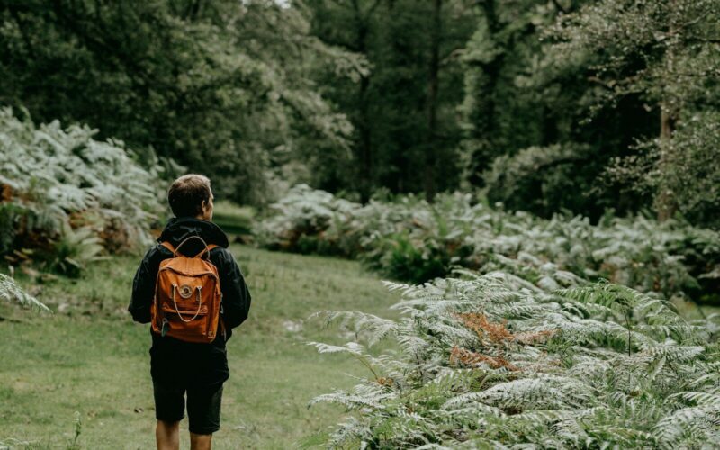 man in black and orange backpack walking on green grass field during daytime