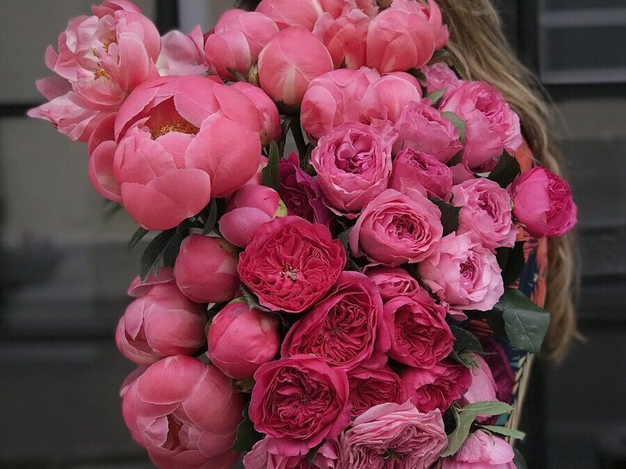 woman holding pink flowers